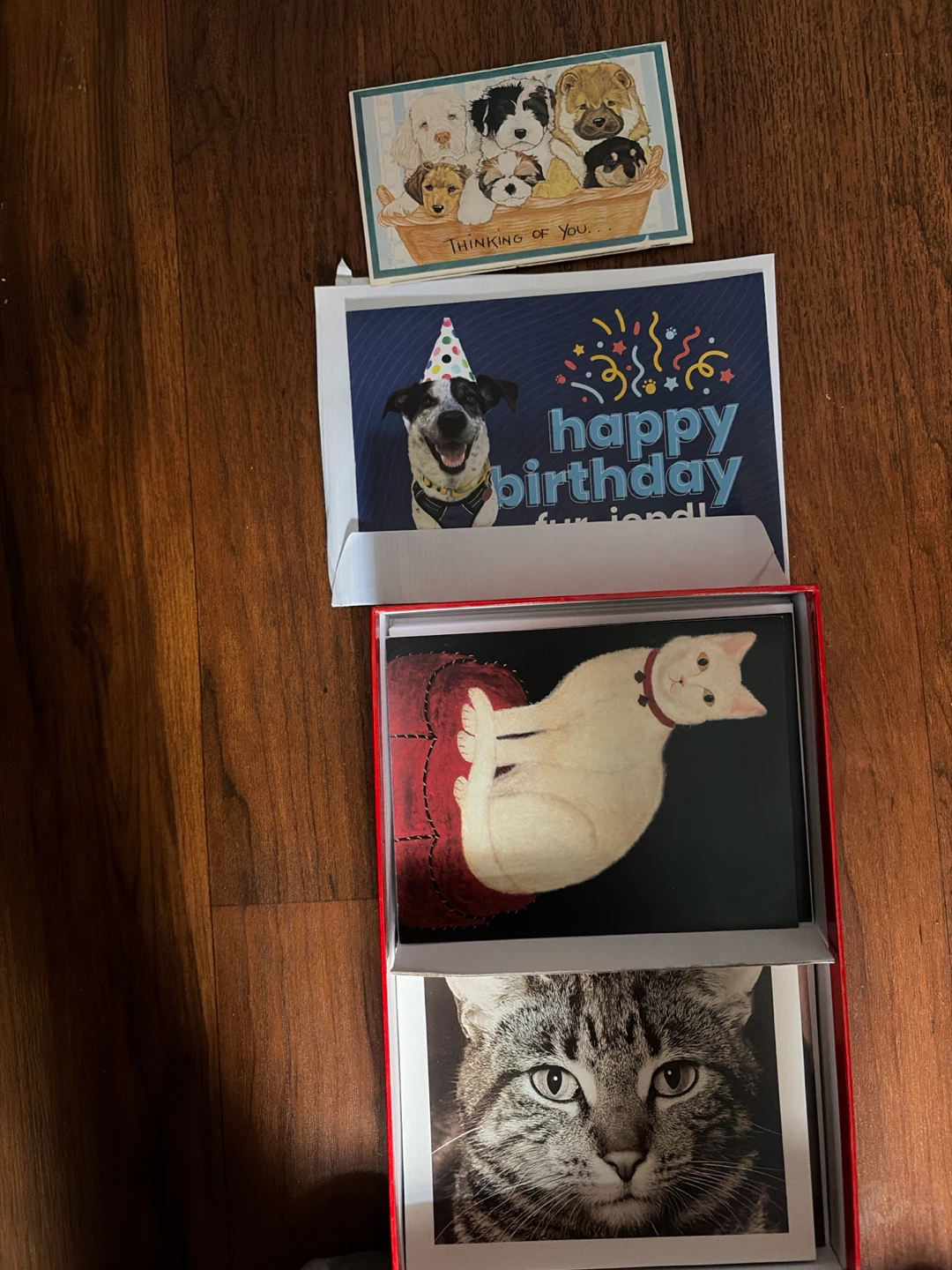 The Metropolitan Museum of Art Cats Notecards - photo 2
