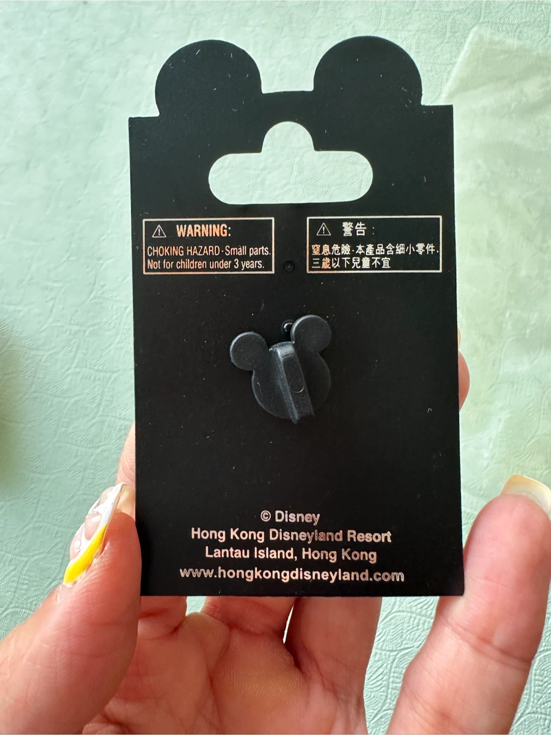 Disney Hong Kong Disneyland Resort Pin - photo 2
