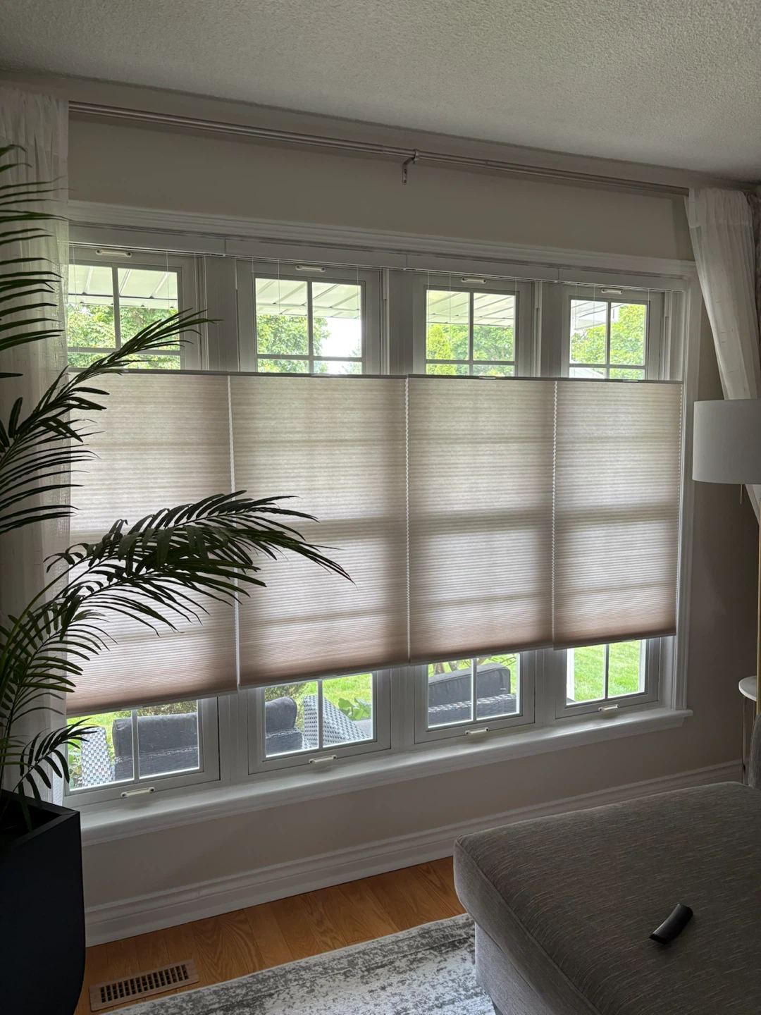 Top-Down Bottom-Up Cellular Shades
