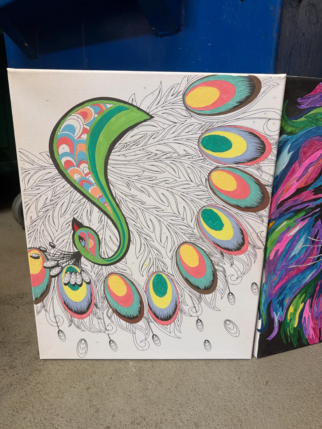 Colourful Lion Canvas Art Painting