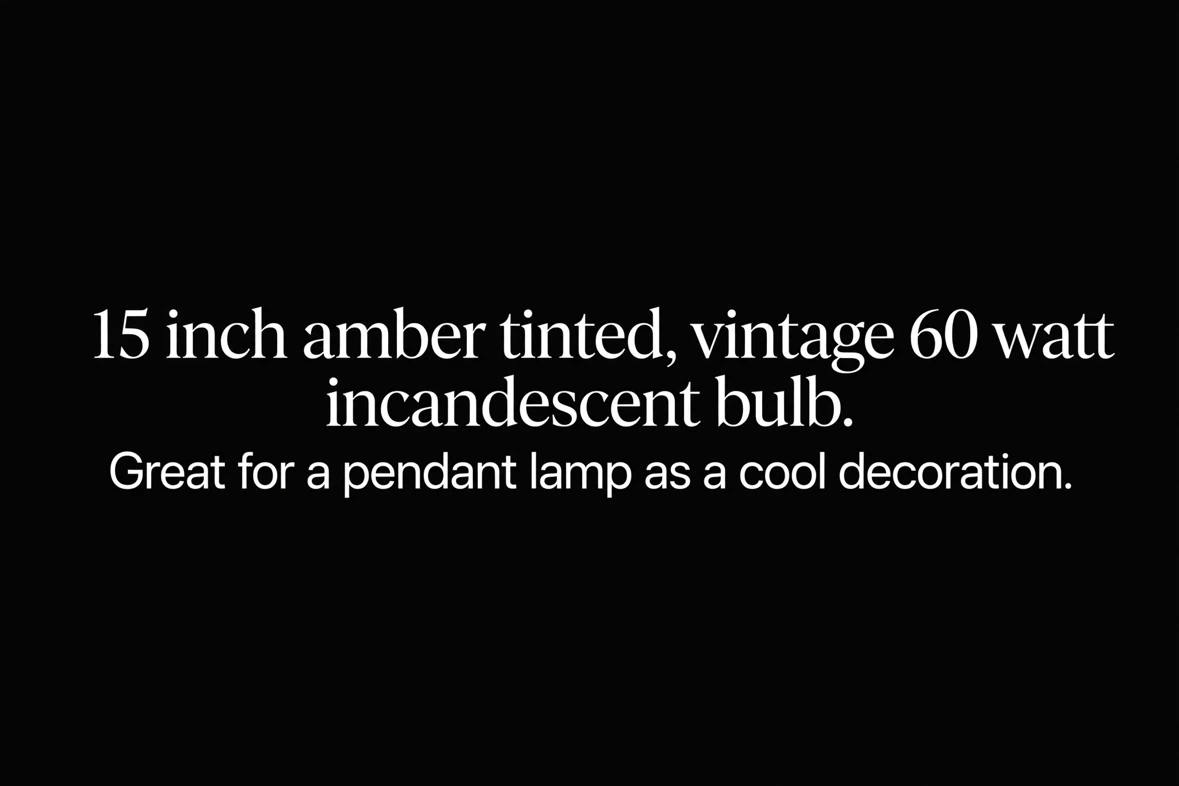 15 inch Vintage Incandescent Light Bulb - photo 5