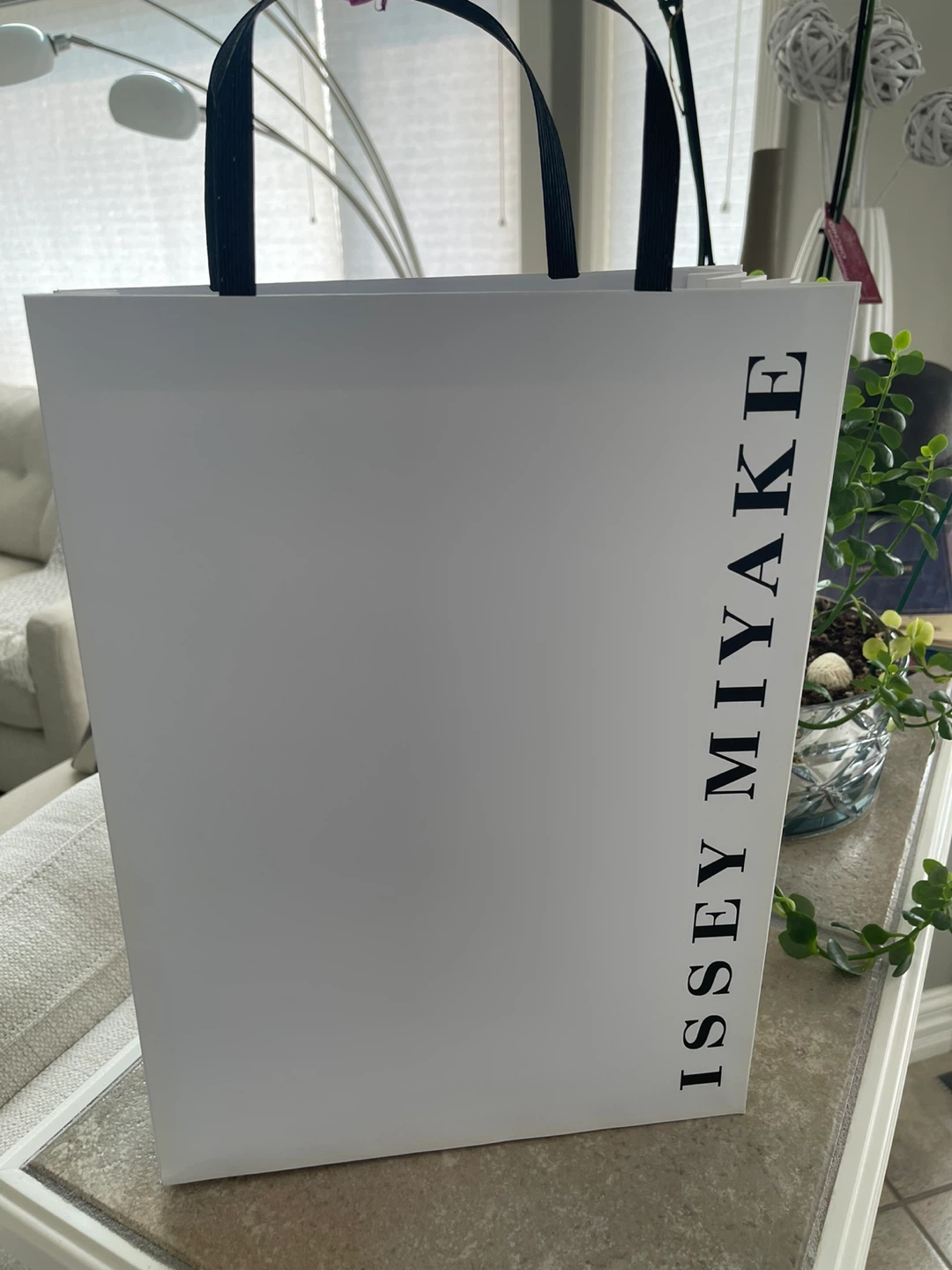 Issey Miyake DESIGNER White GIFT Bag