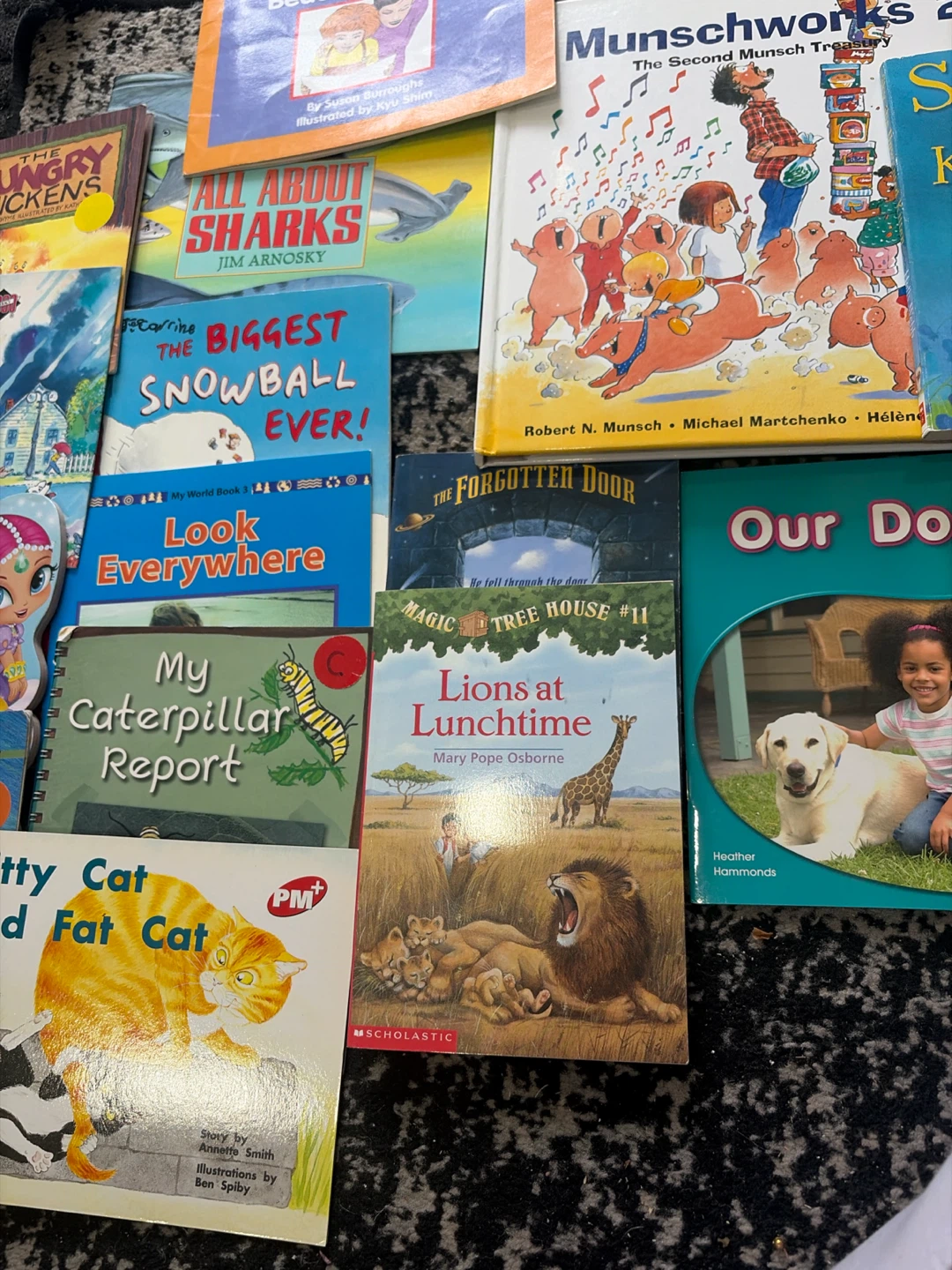 Various Children's Books - photo 5