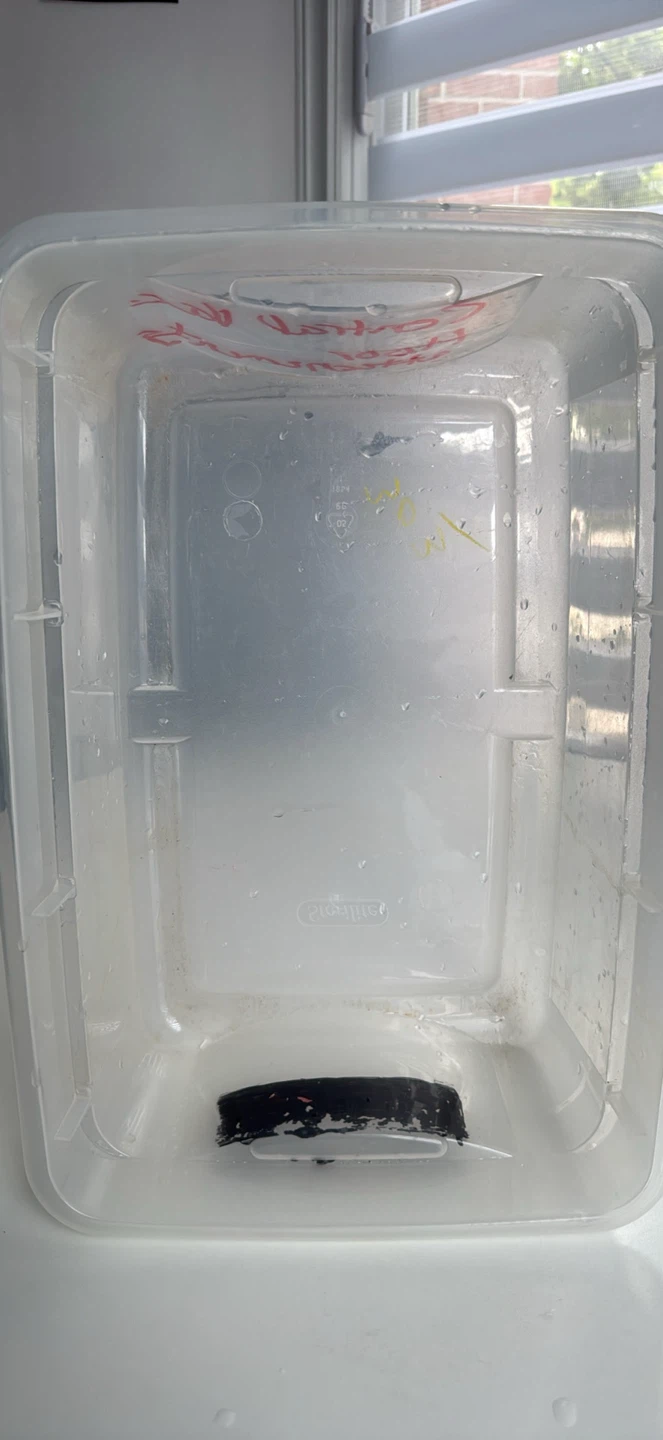 Sterilite clear plastic container