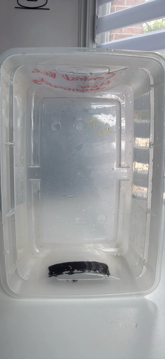 Sterilite clear plastic container - photo 4