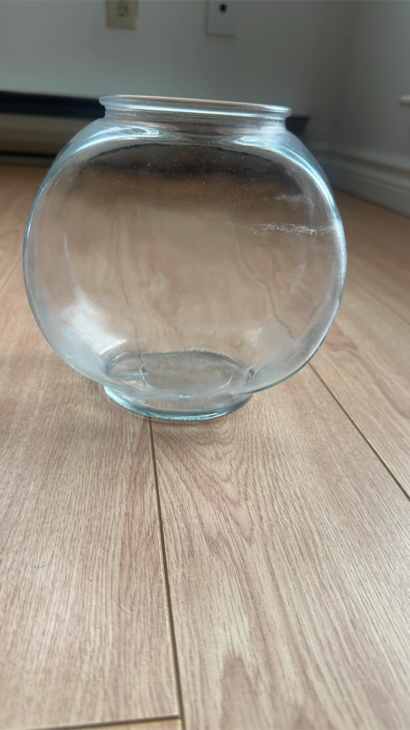Set of 2 Clear Glass Fish Bowls - photo 2