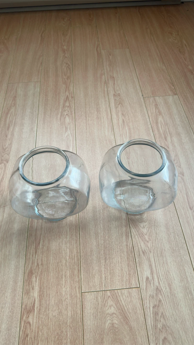 Set of 2 Clear Glass Fish Bowls - photo 4