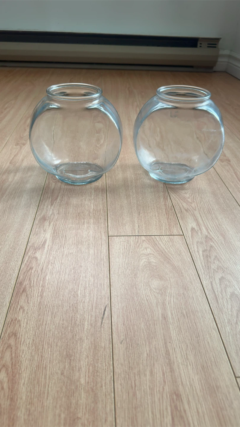 Set of 2 Clear Glass Fish Bowls - photo 5