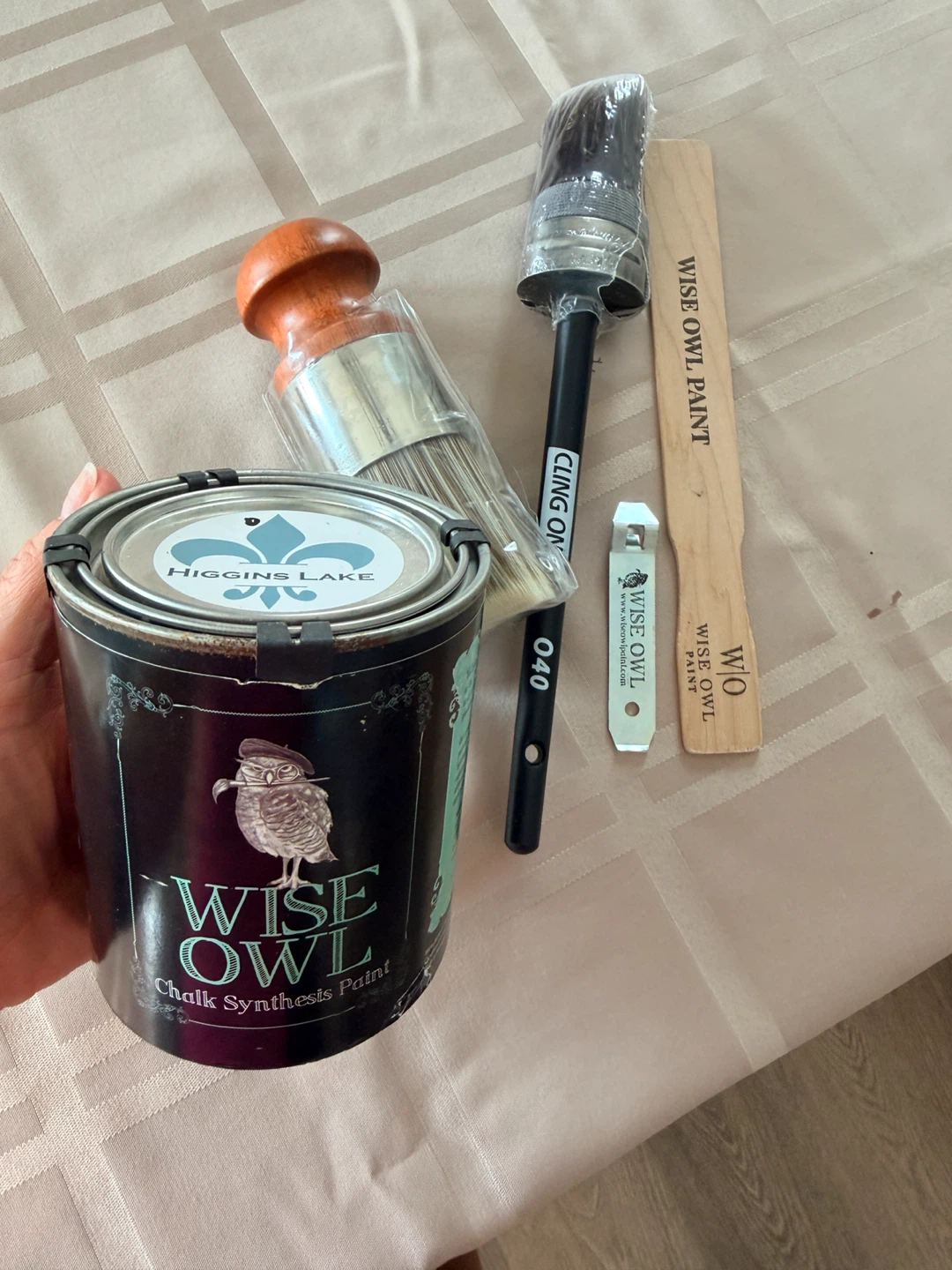 Wise Owl Higgins Lake Chalk Synthesis Paint