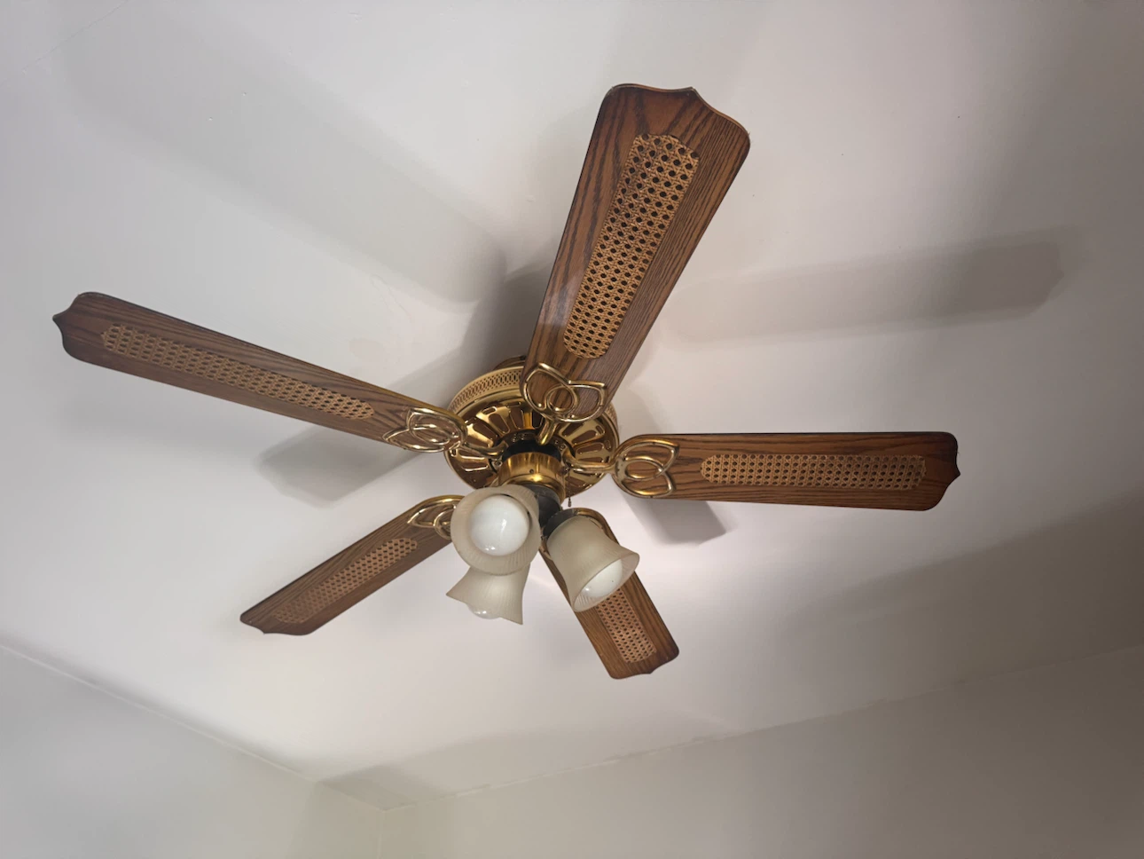 Wood and Cane Ceiling Fan with Lights