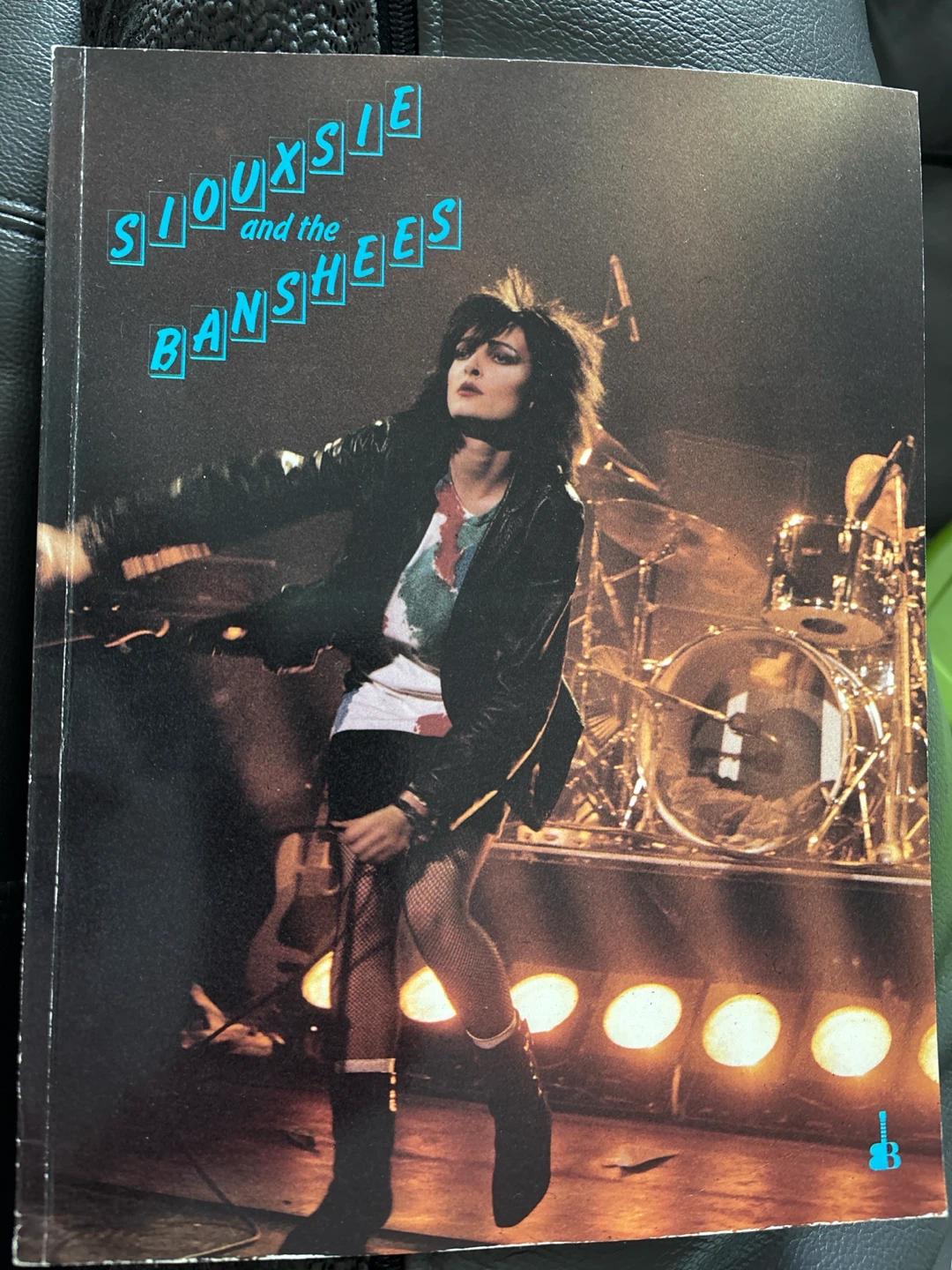 Siouxsie and the Banshees Book