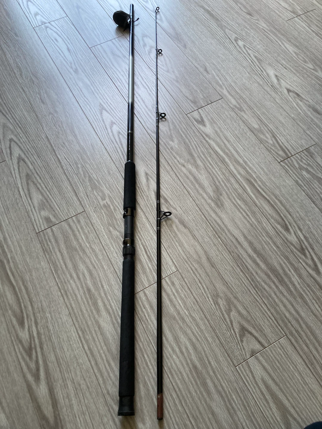 Master Spectra Graphite Composite Fishing Rod - 8 ft
