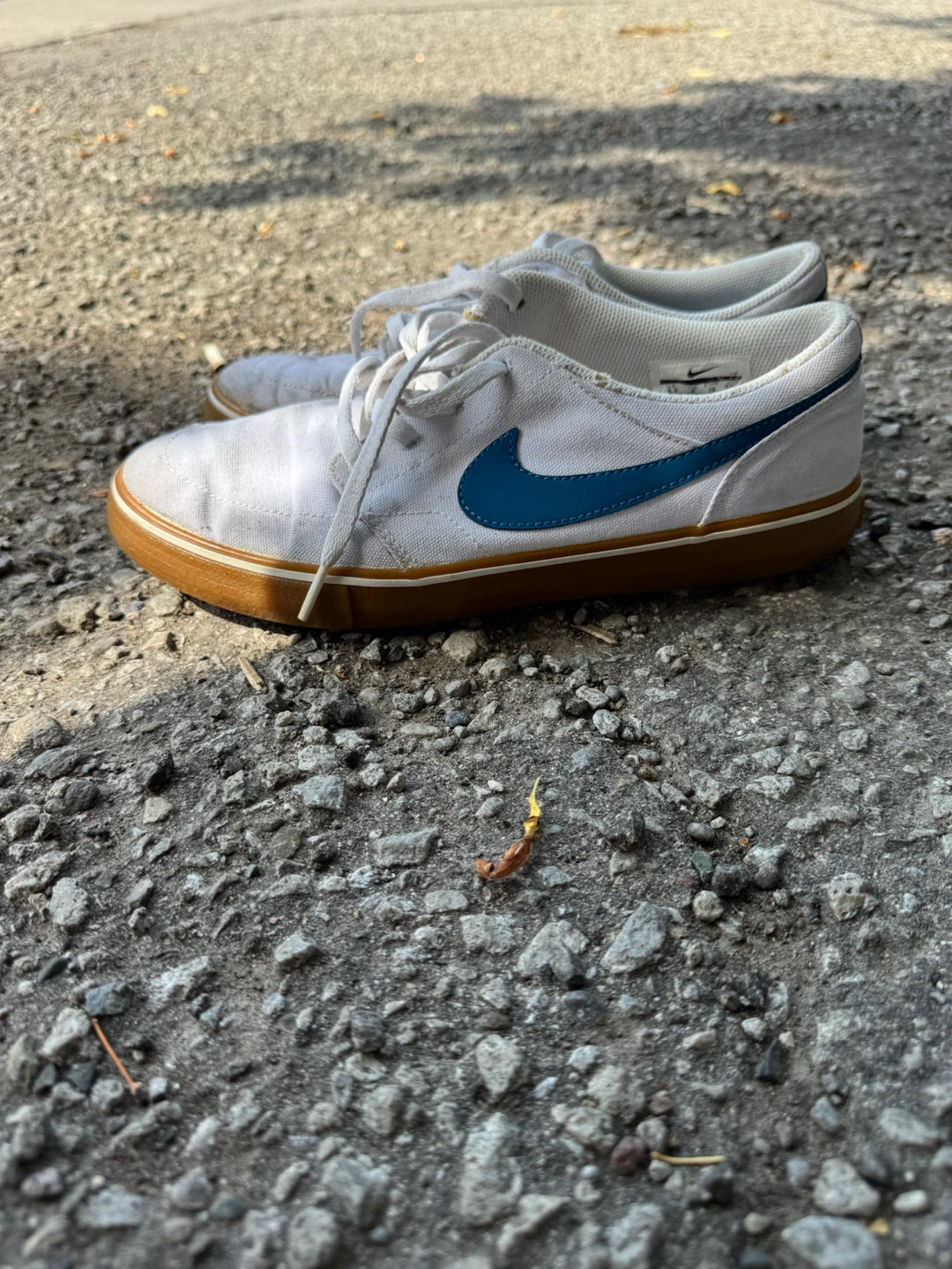 Nike SB White Canvas Sneakers