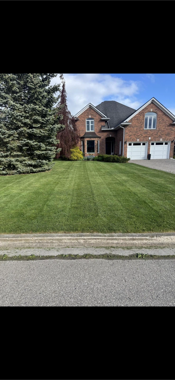 Grass Cutting Lawn Service