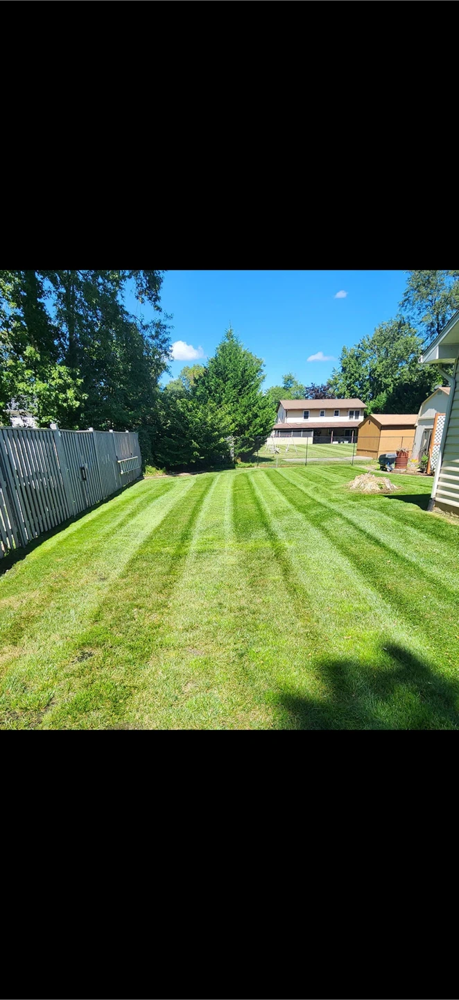 Grass Cutting Lawn Service - photo 2