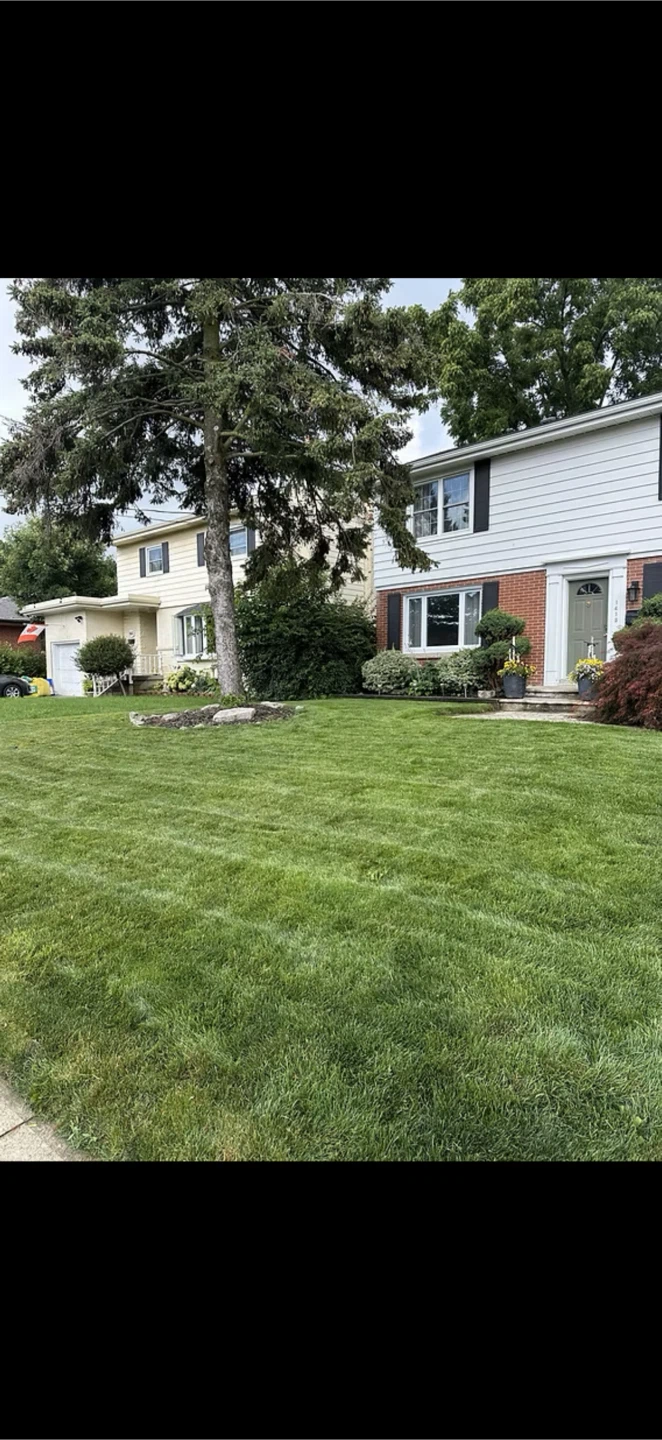 Grass Cutting Lawn Service - photo 3