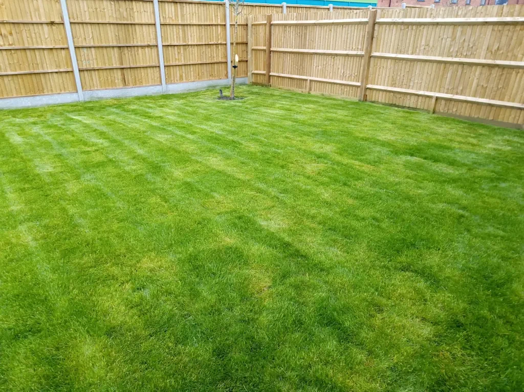 Grass Cutting Lawn Service - photo 4