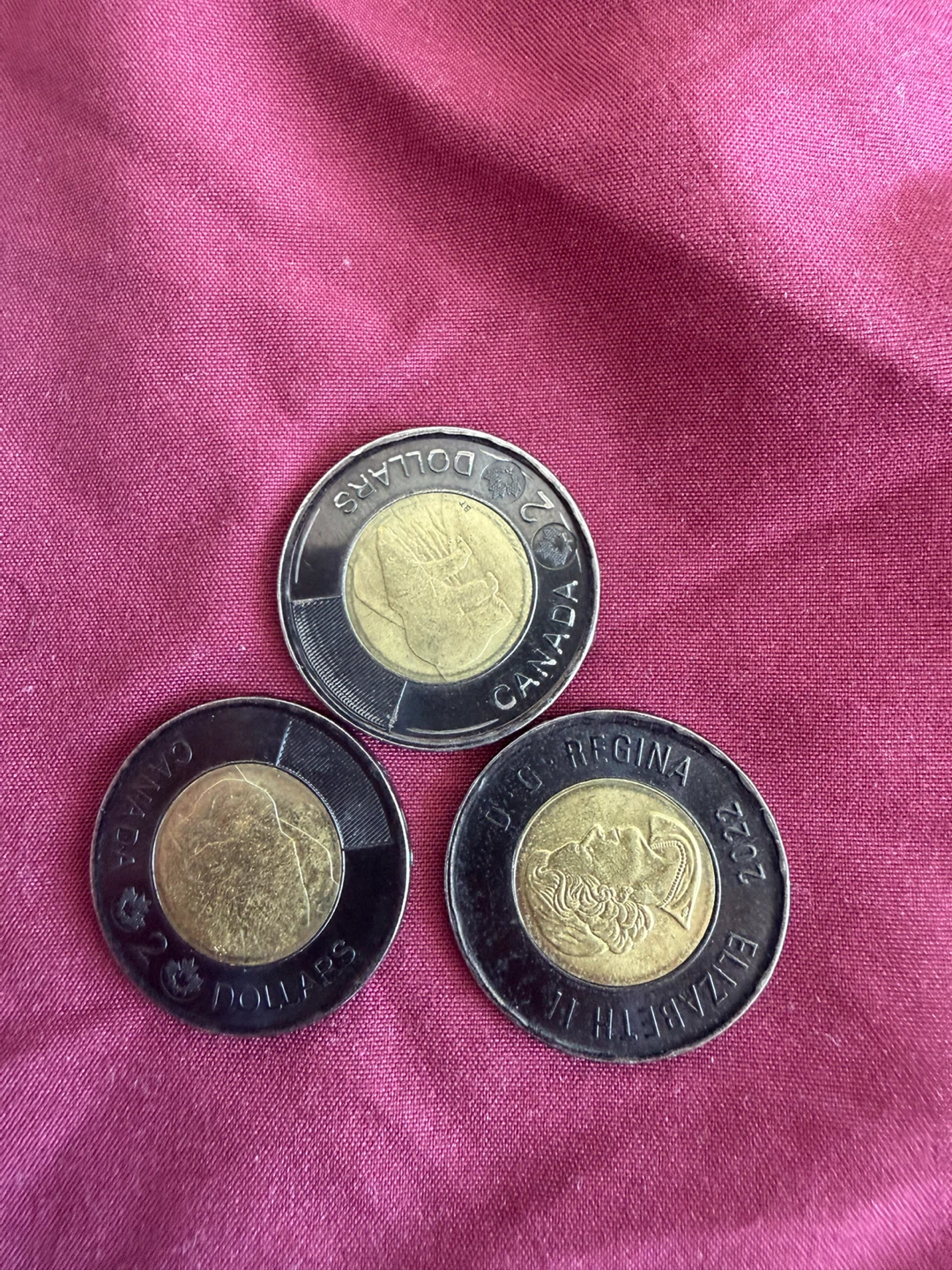 Canadian Collector Coins - 2007, 2001, 2022 - photo 5