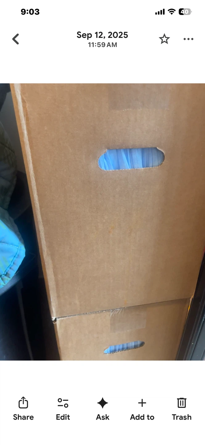 2 box’s of wee wee pads $40