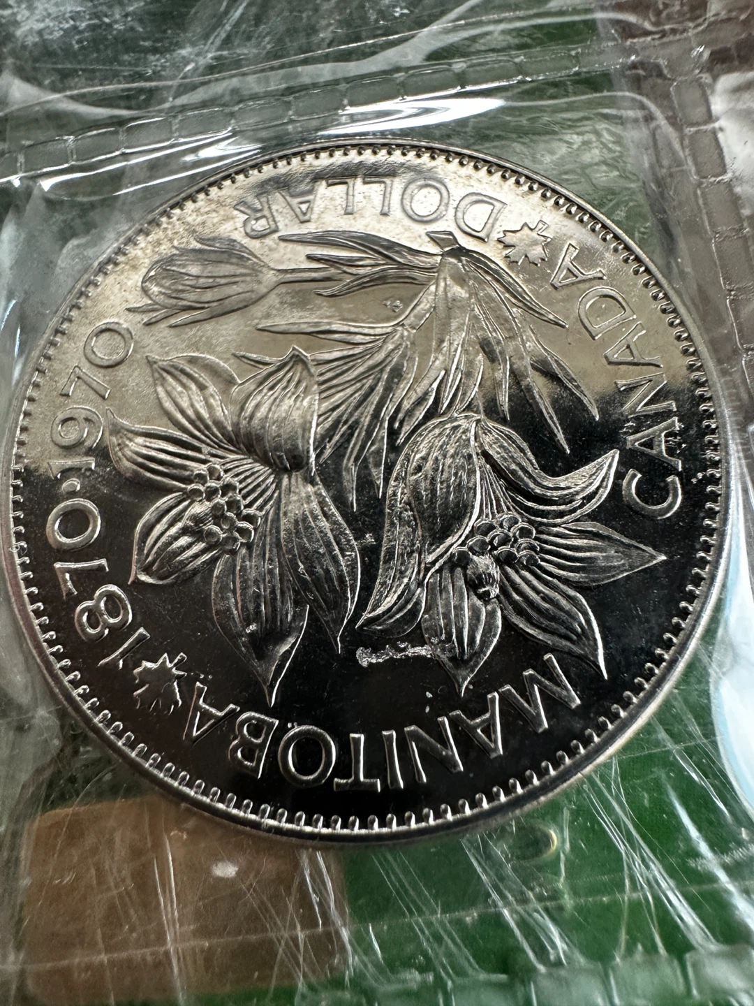 Old Canadian Dollars - photo 4