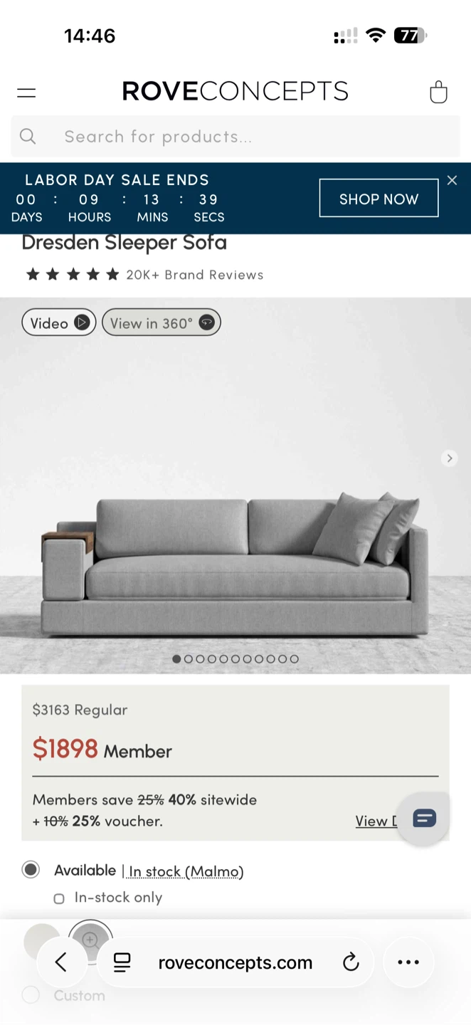 Rove Concepts Dresden Sleeper Sofa