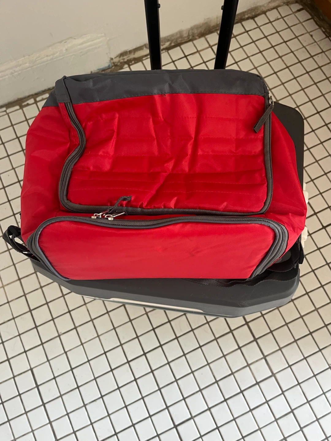 Red Insulated Cooler Bag