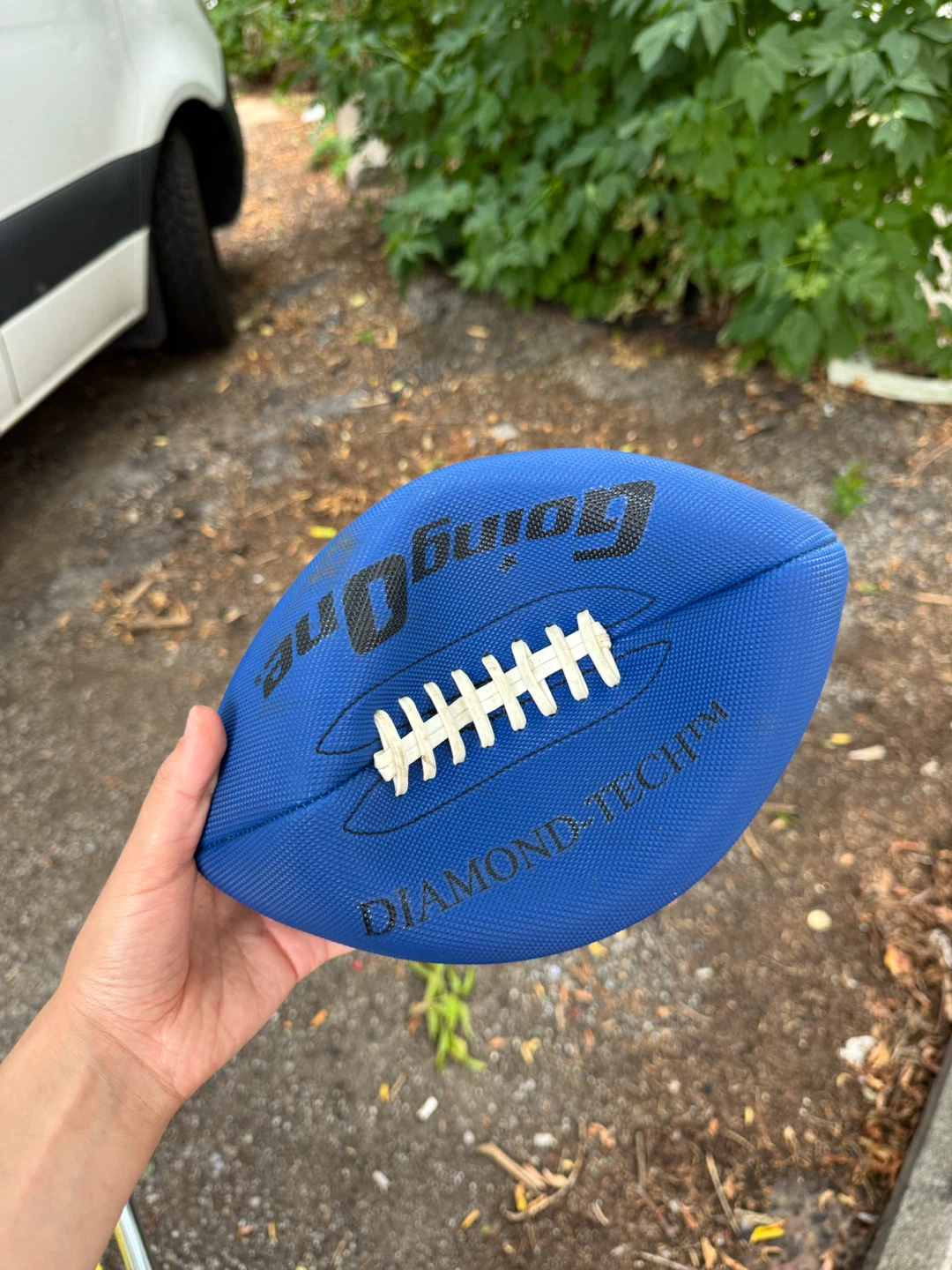 Diamond Tech Football