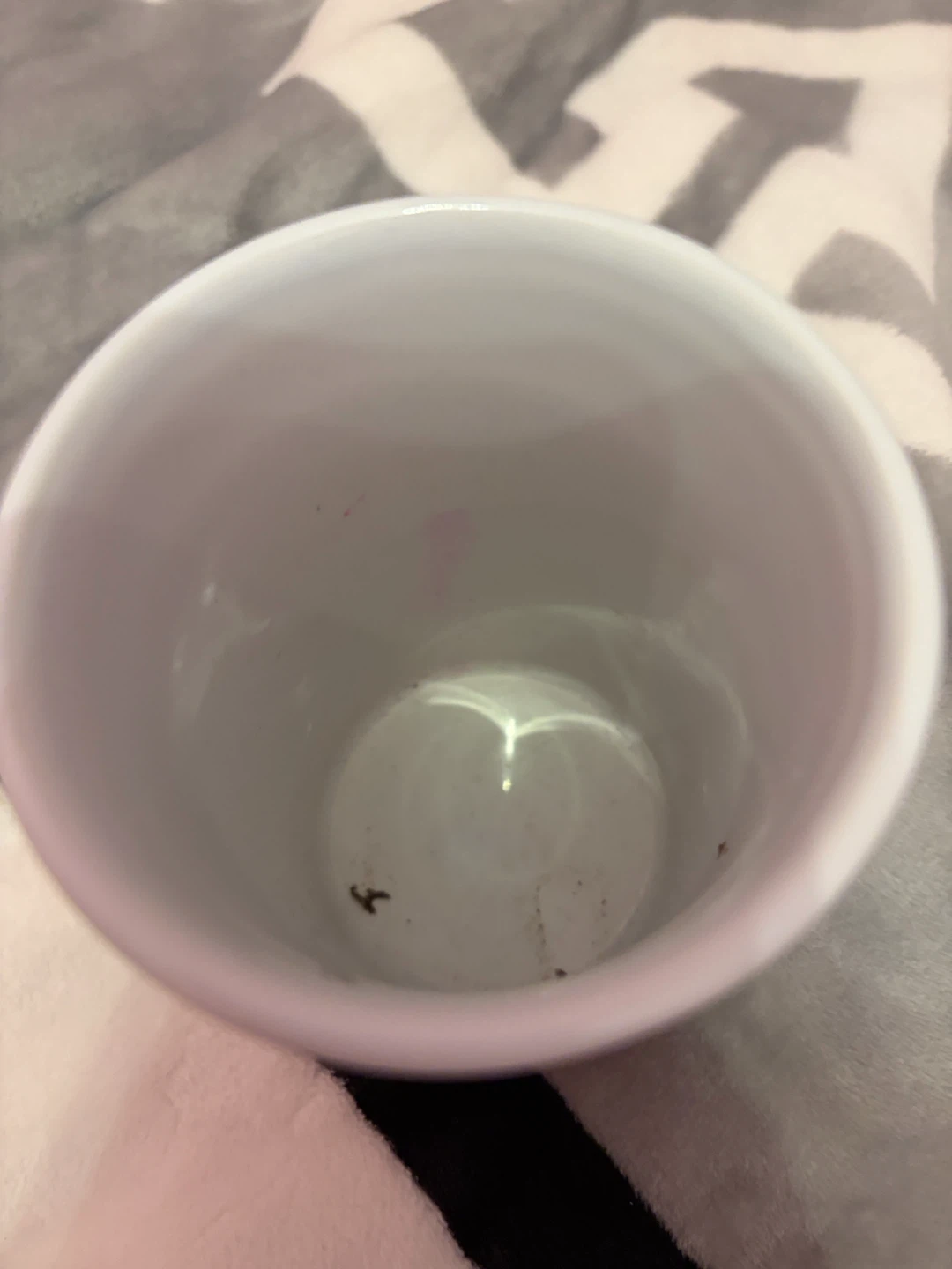 Makeup and Makeup Holder Cup - photo 2