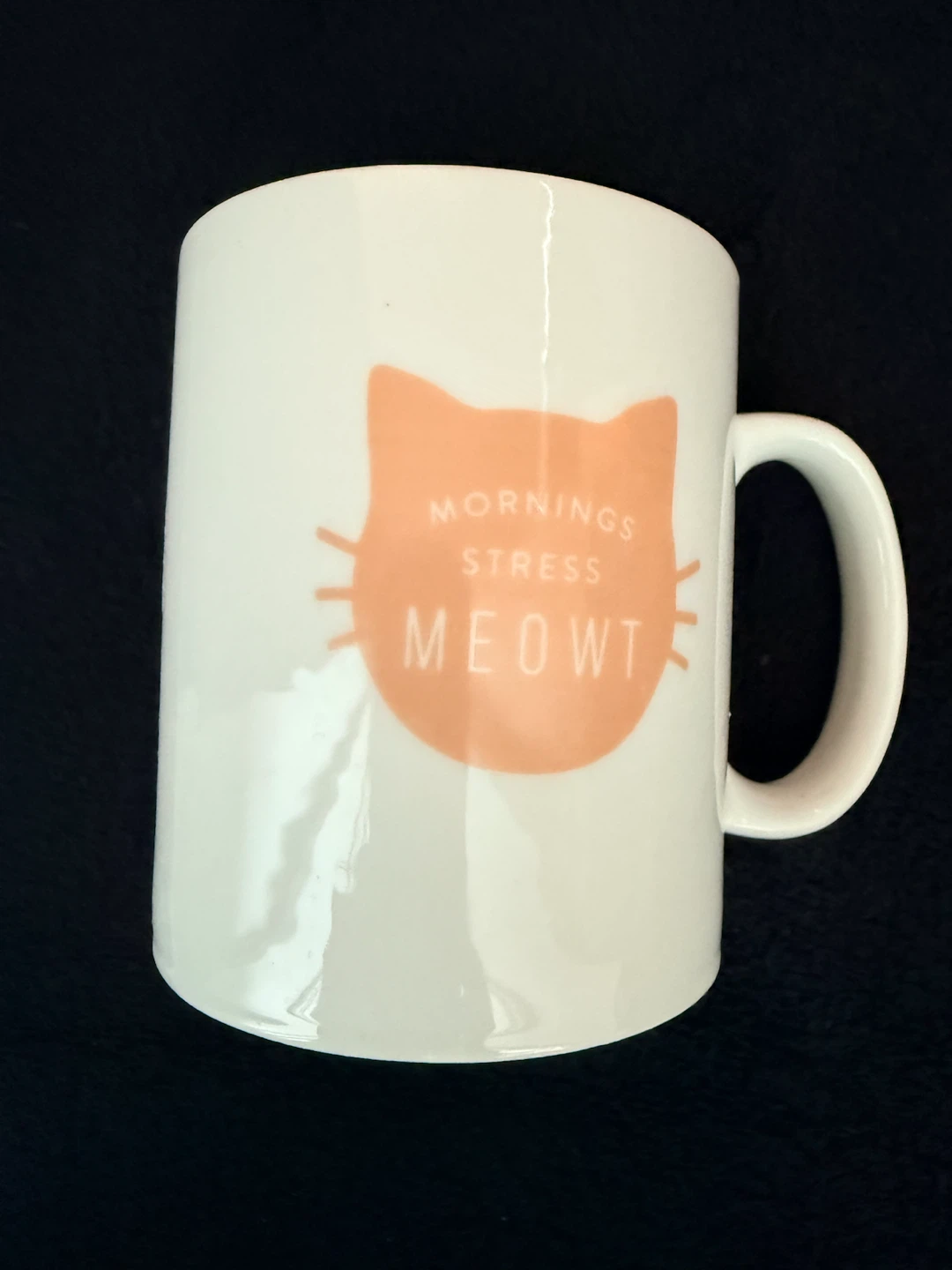 BRAND NEW: Fringe Studio "Mornings Stress Meowt" Cat Mug