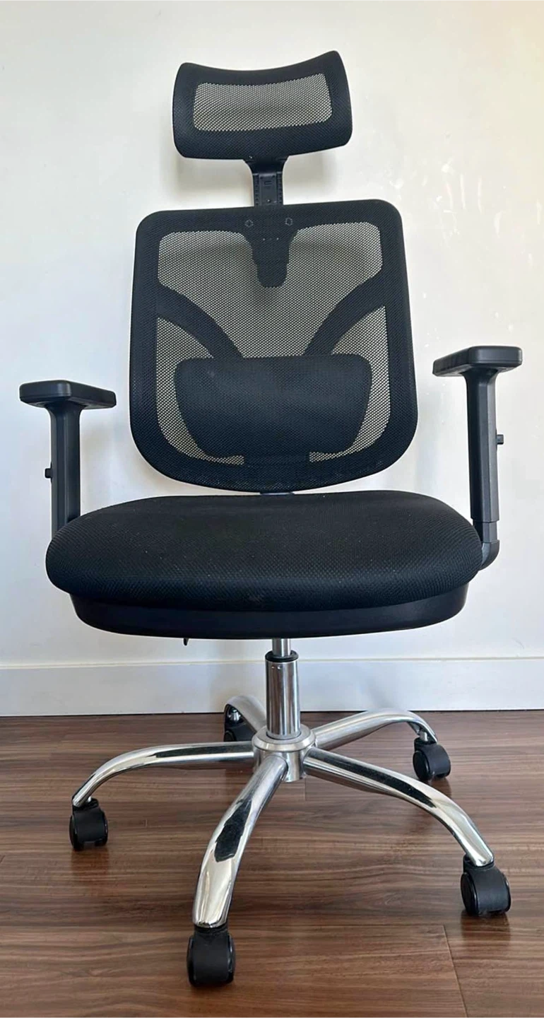 Ergonomic Office Chair – $100