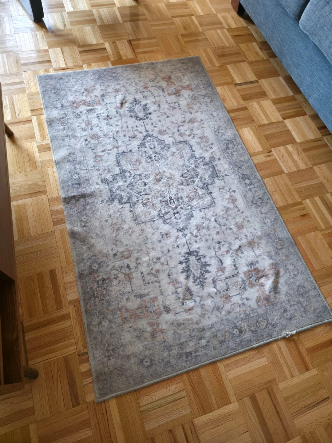 Distressed Medallion Area Rug
