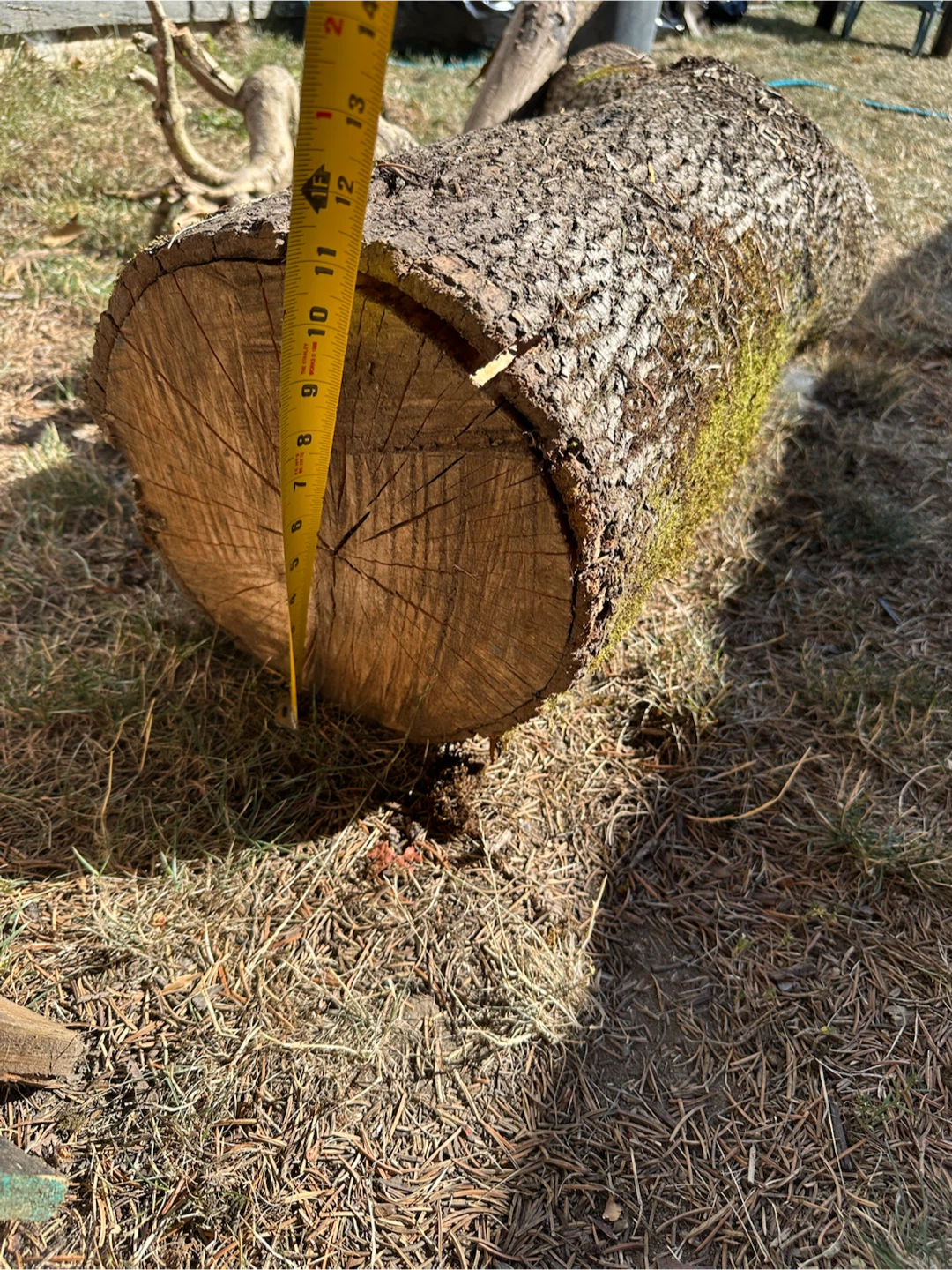 Free firewood - photo 2