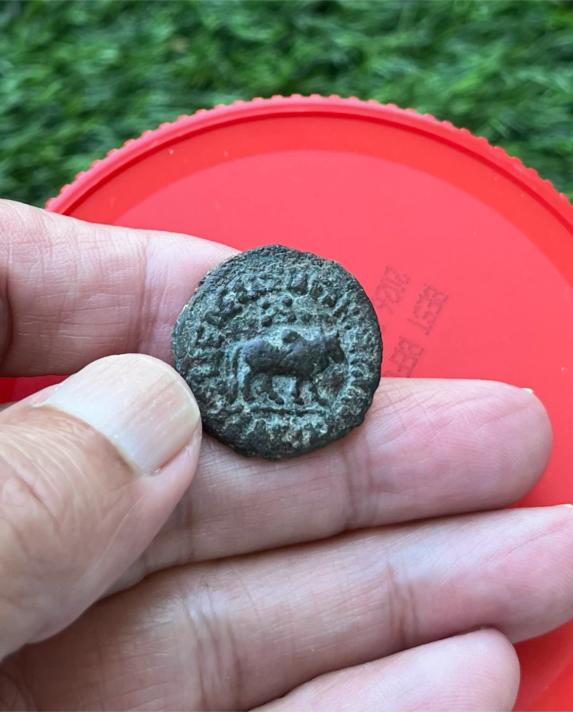 Antique King Azes I Indo-Scythian Ancient Greek Coin
