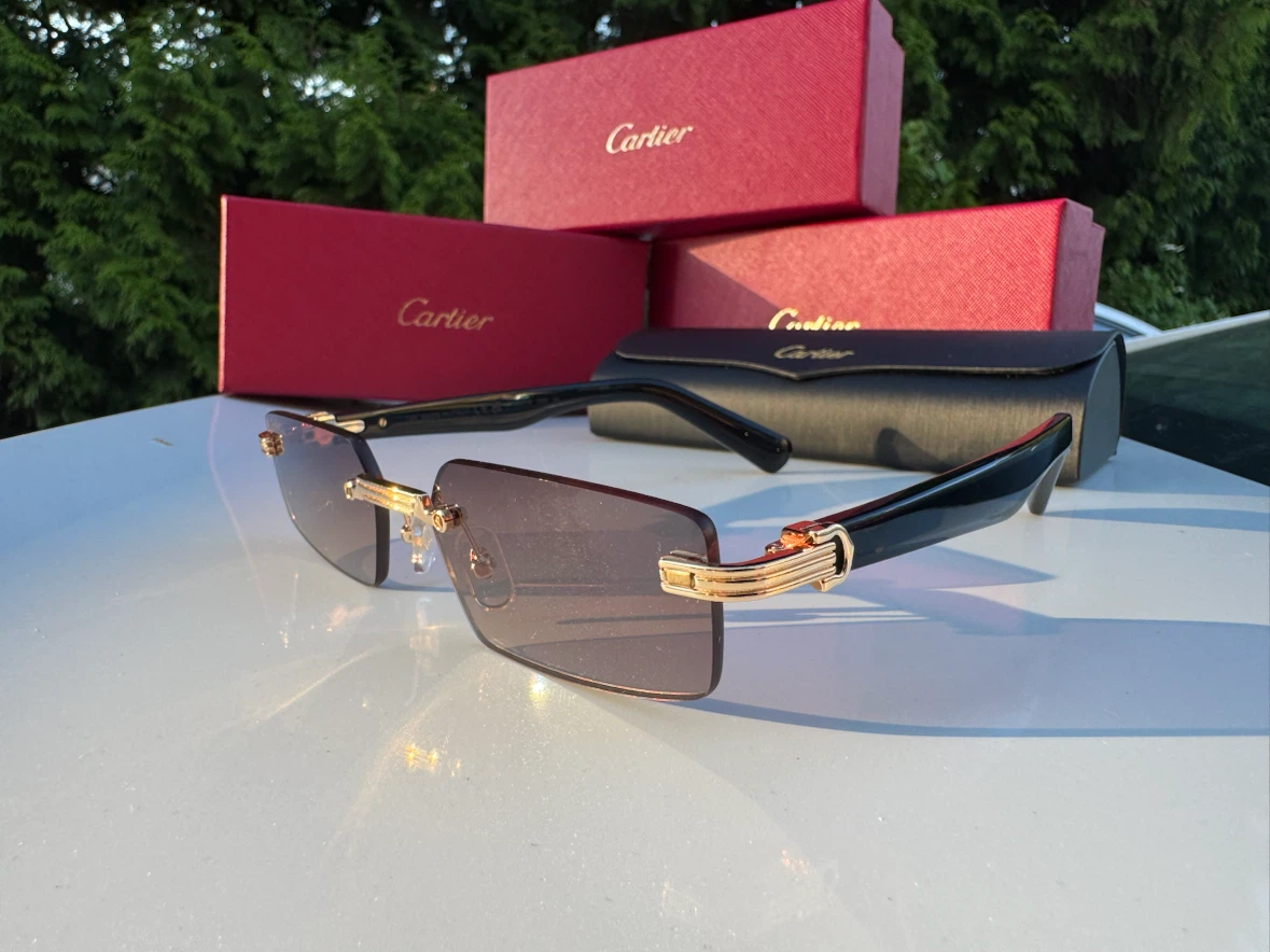Cartier CT0537S Sunglasses