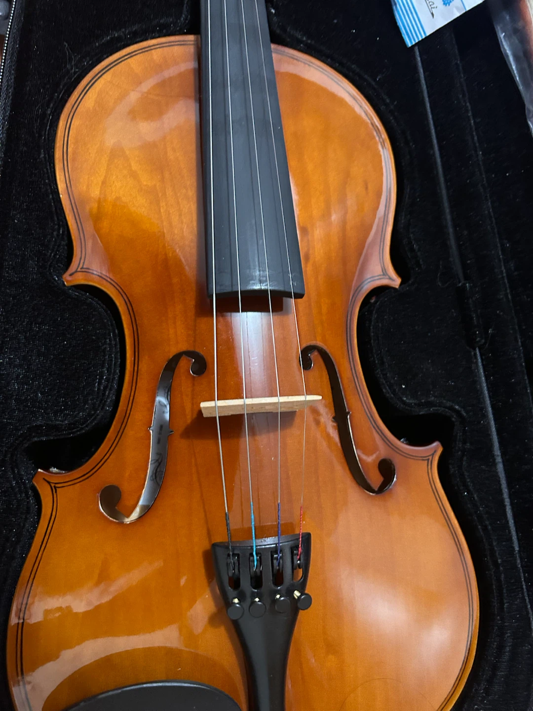 Violin