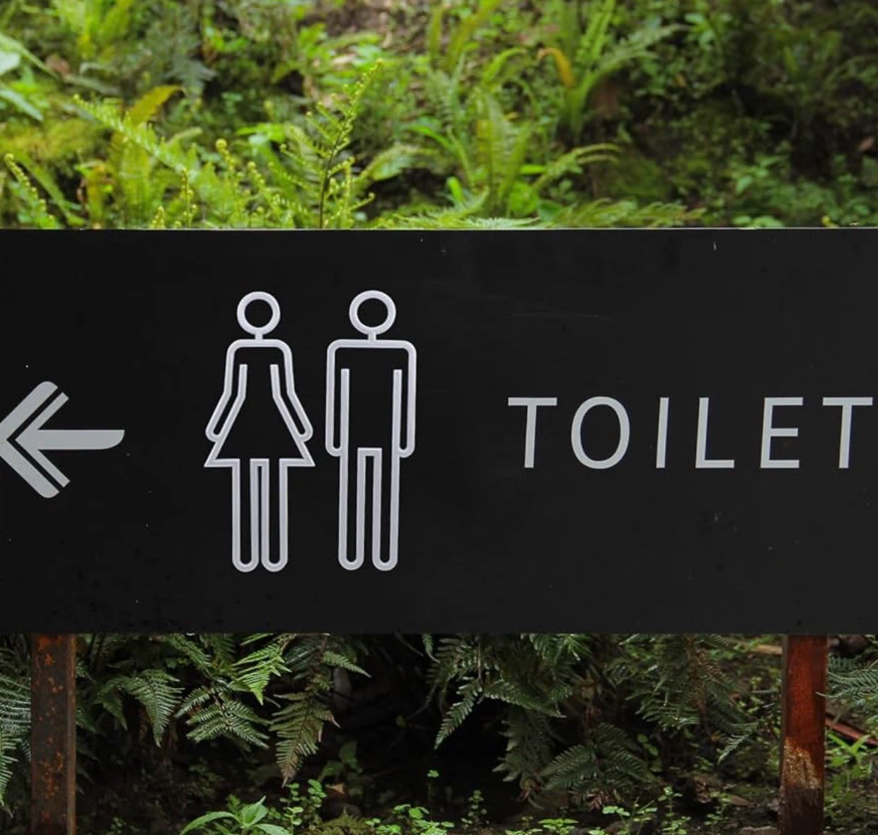 Metal Toilet Sign Set - photo 3