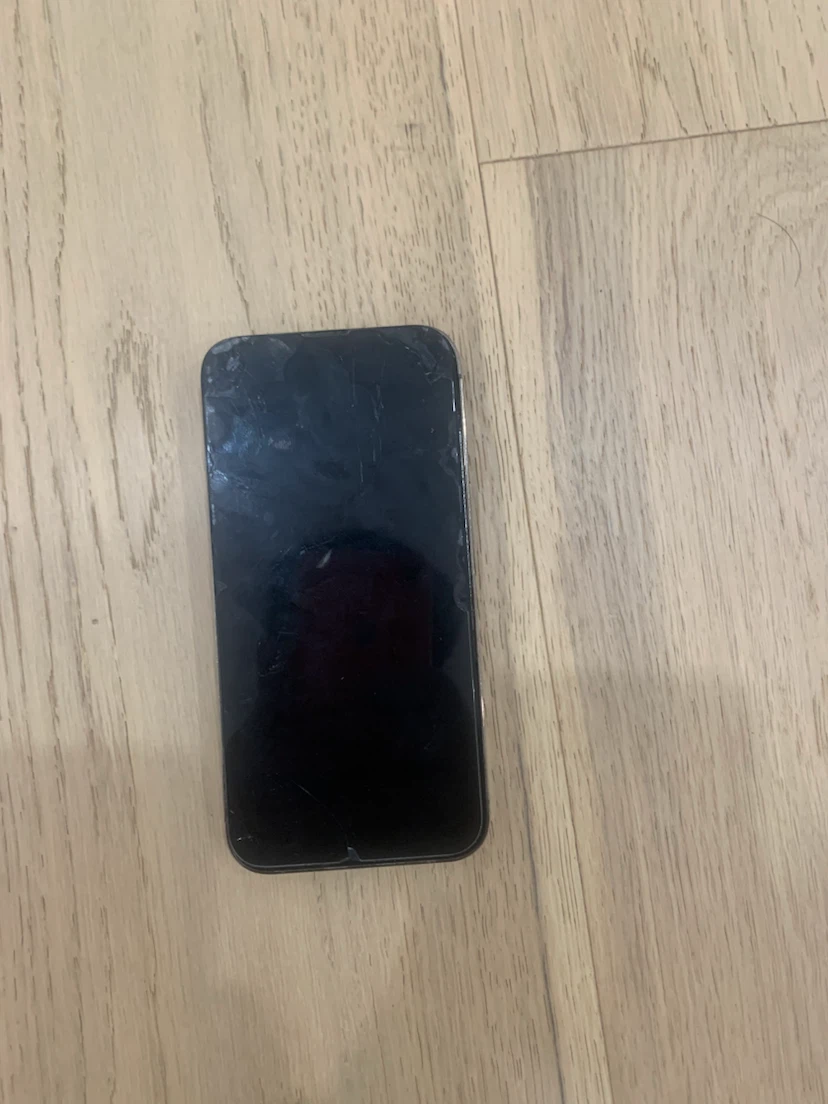 iPhone 13 Pro Max - Broken Back Glass - photo 2