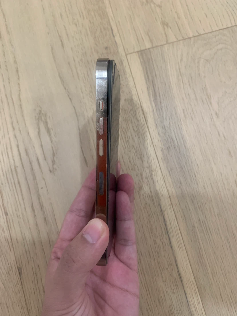 iPhone 13 Pro Max - Broken Back Glass - photo 4