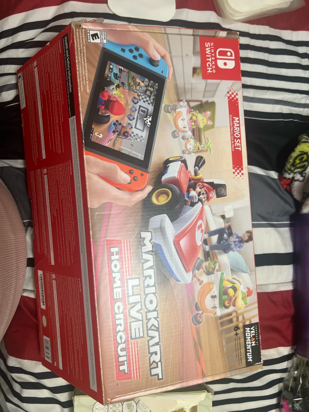 Nintendo Switch Mario Kart Live: Home Circuit