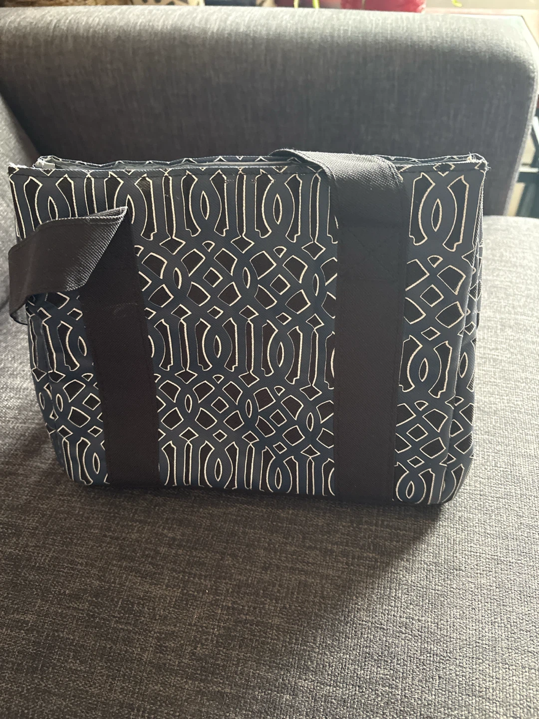 Insulated Lunch Bag