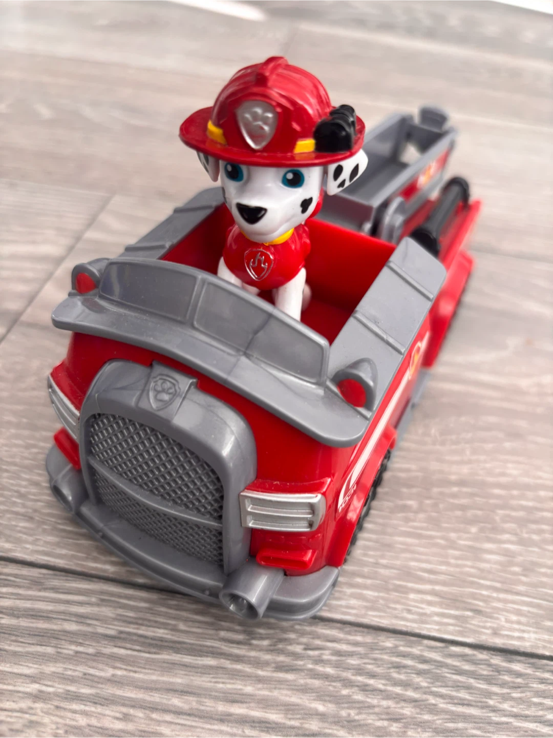 Paw Patrol - photo 5