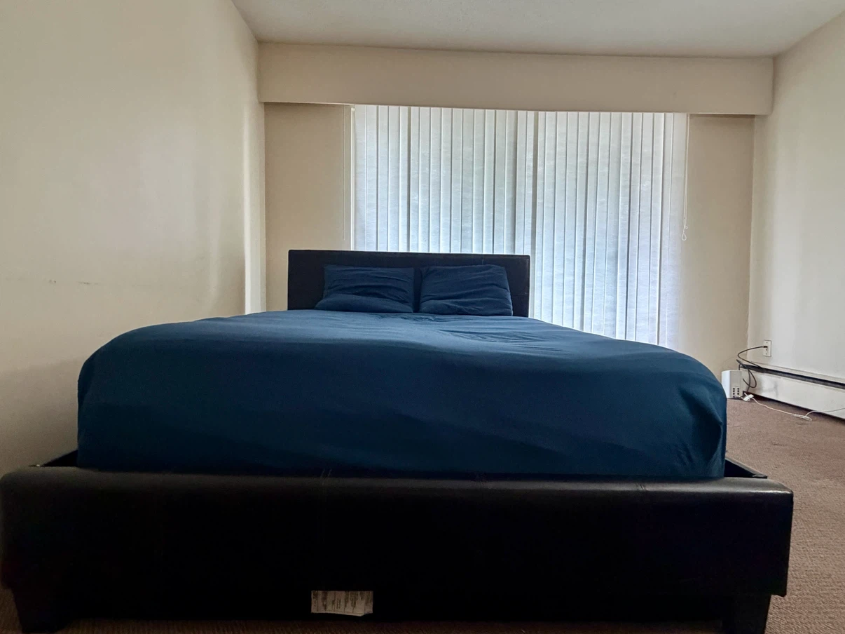 Queen Size Leather Bed  Beautyrest World Class Ultra Mattress