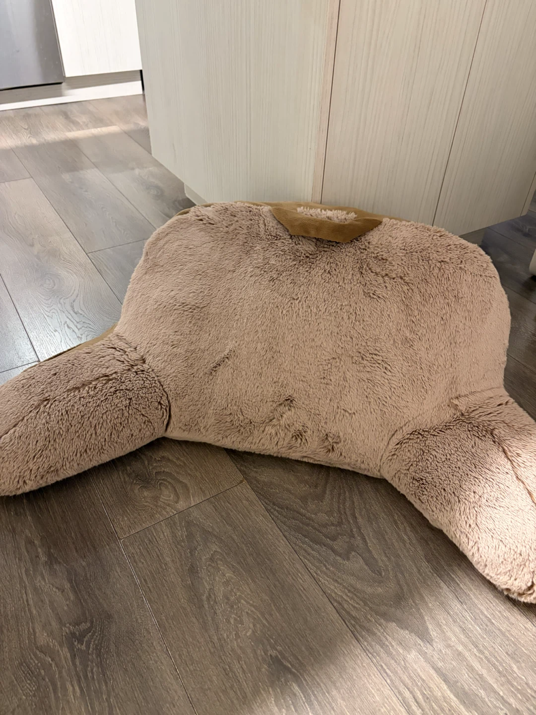 Plush Reading Pillow