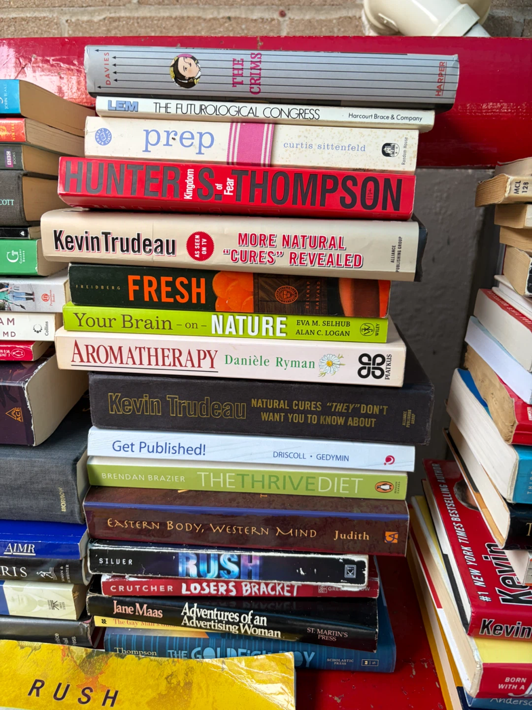 huge Mixed Stack of Books - Various Authors - photo 3