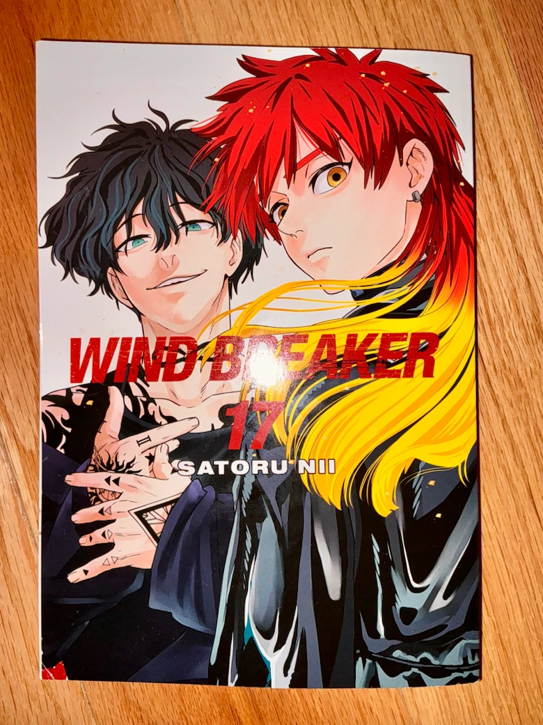 Wind Breaker volume 17