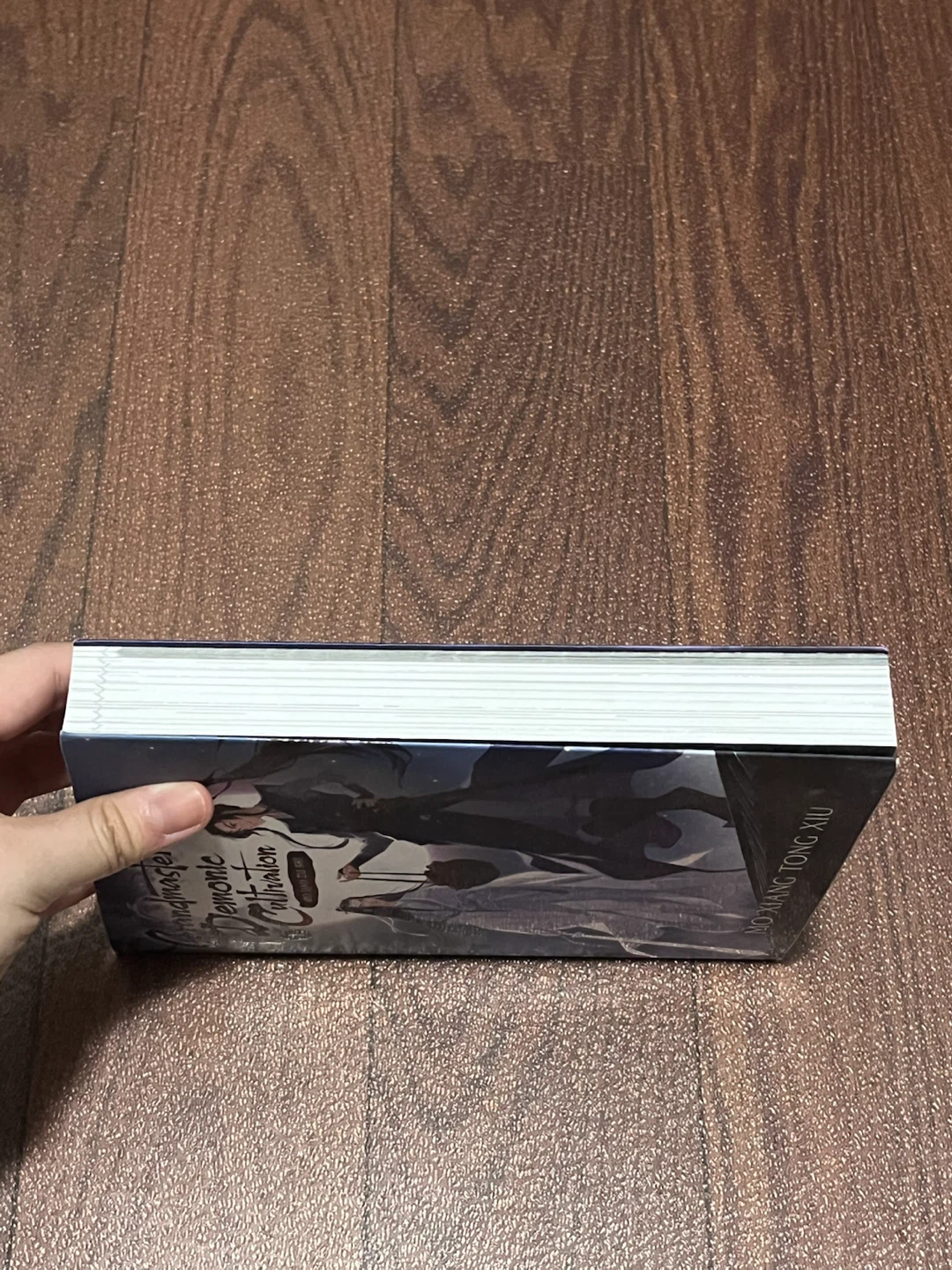 (Danmei) Grandmaster of Demonic Cultivation/Mo Dao Zu Shi Vol. 1 - photo 3