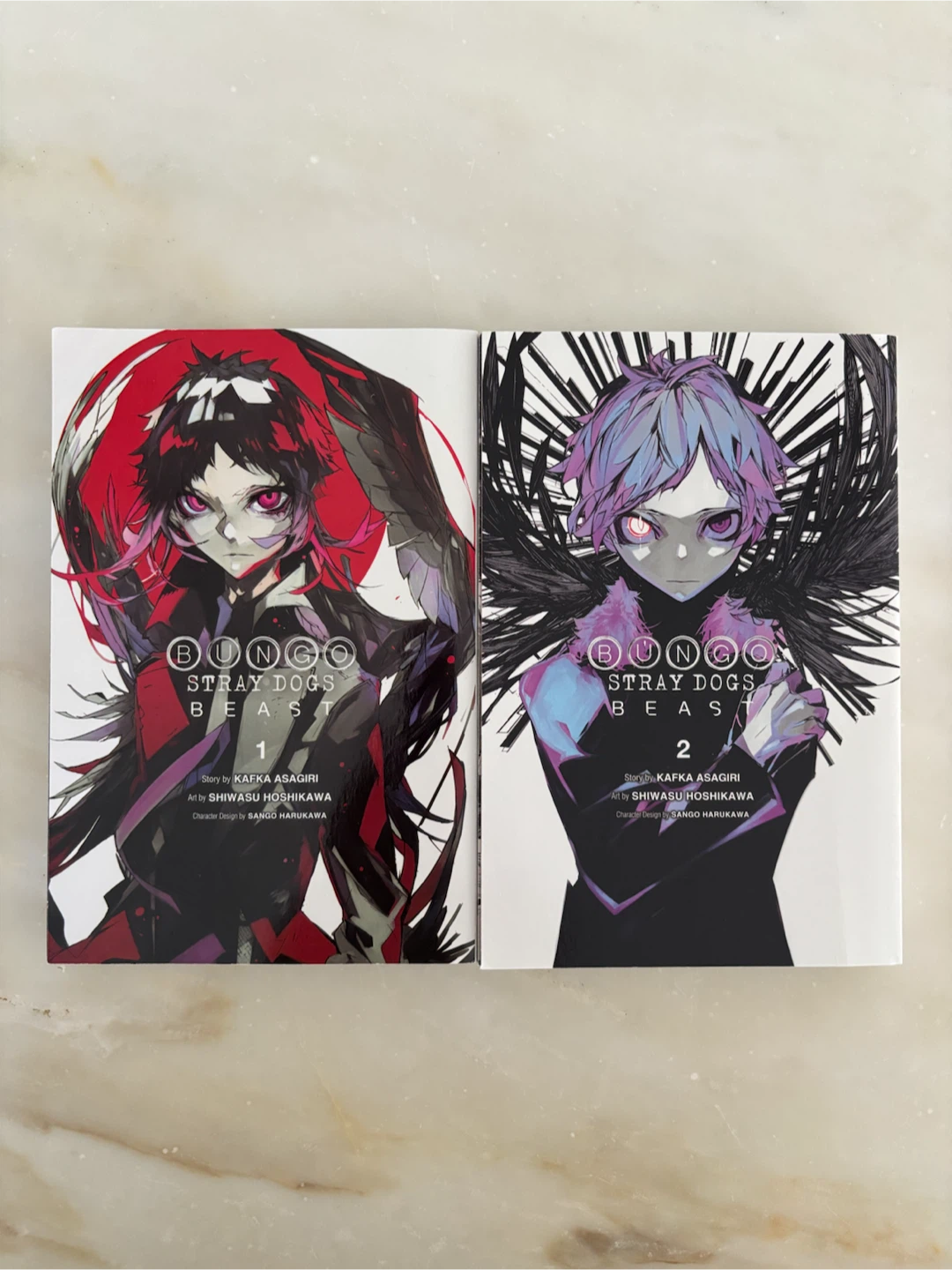 Bungo Stray Dogs and Moriarty books