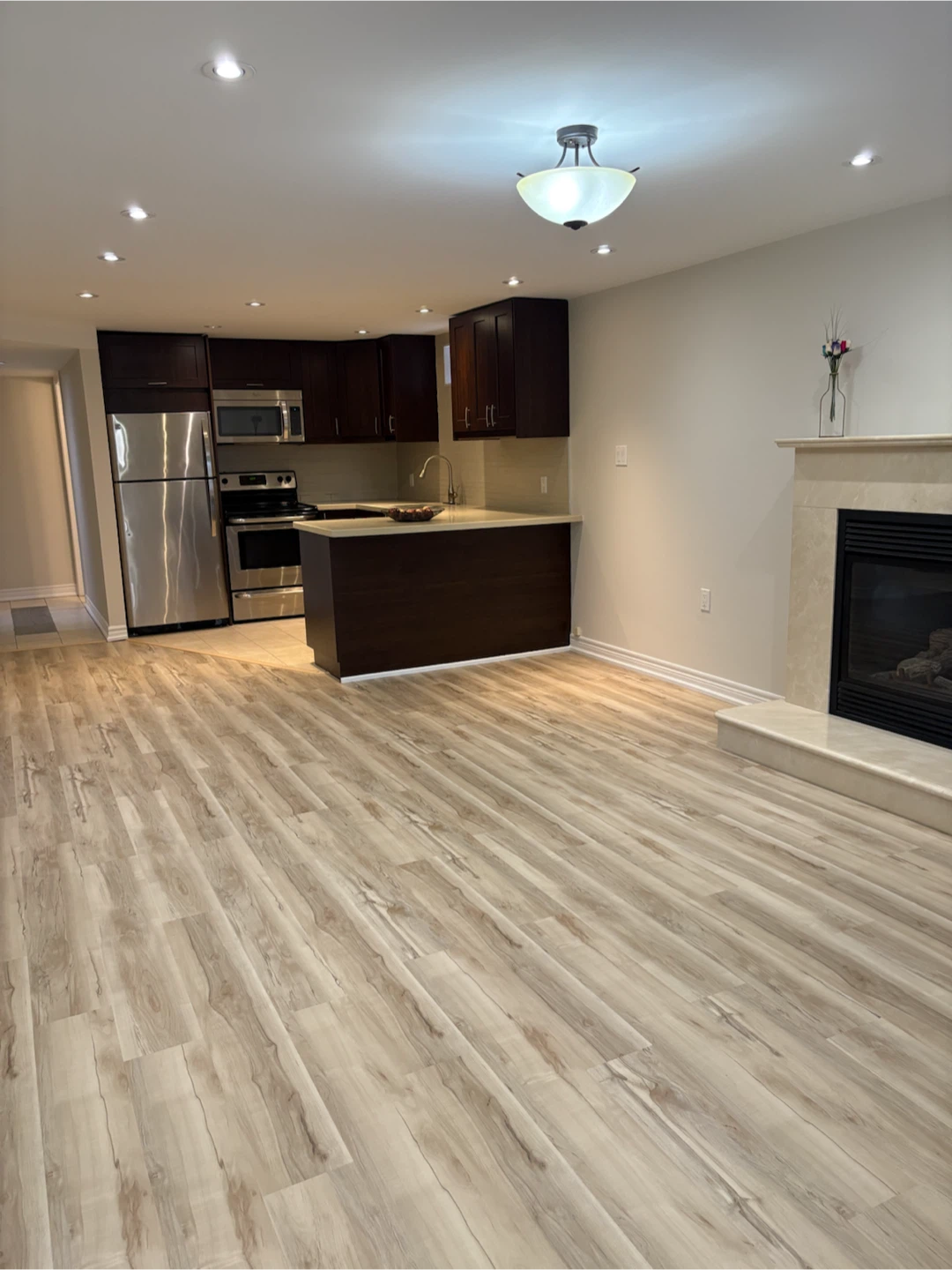 Basement (walk out) 2 Bedrooms +Den 1 Washroom