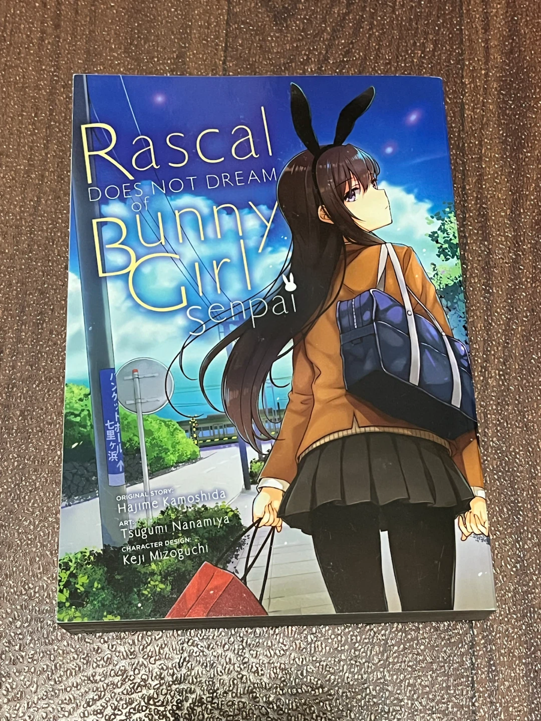Rascal Does Not Dream of Bunny Girl Senpai Manga