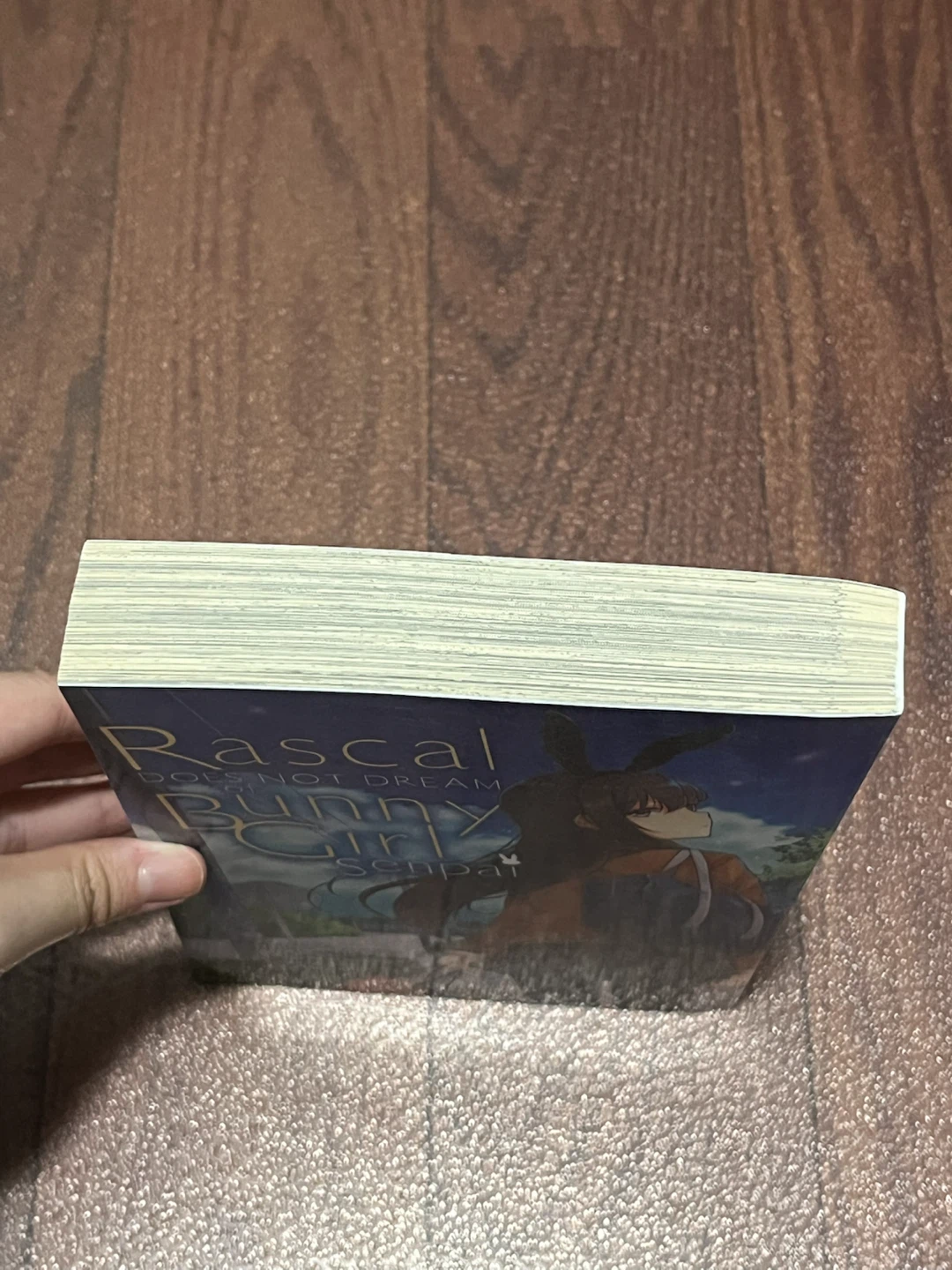 Rascal Does Not Dream of Bunny Girl Senpai Manga - photo 2